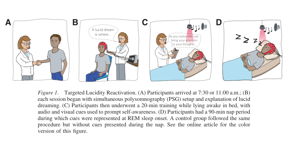 Targeted Lucidity Reactivation