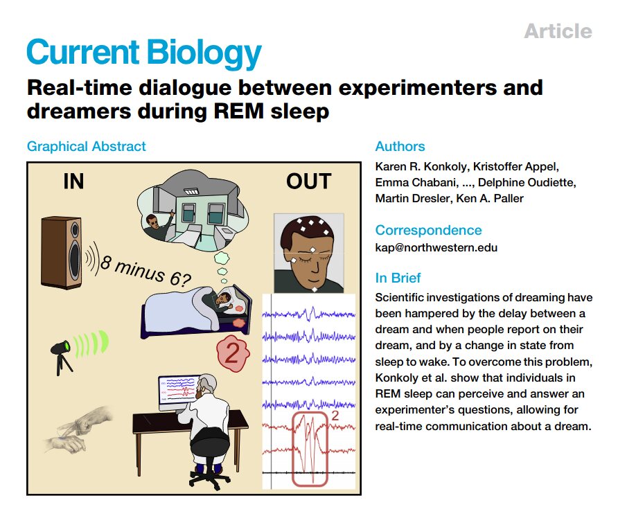 Interactive Dreaming Research
