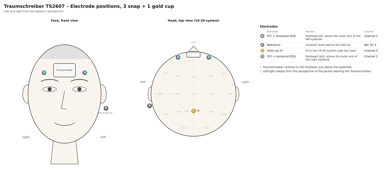 Electrode positions 3 snap + 1 gold-cup, with top view according to the 10-20 system